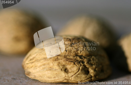 Image of Nut Shells