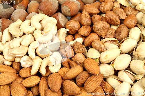 Image of Nut background