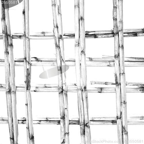 Image of morocco abstract bamboo roof in the  africa  sky
