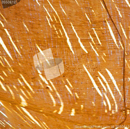 Image of morocco abstract bamboo roof in the  africa  sky