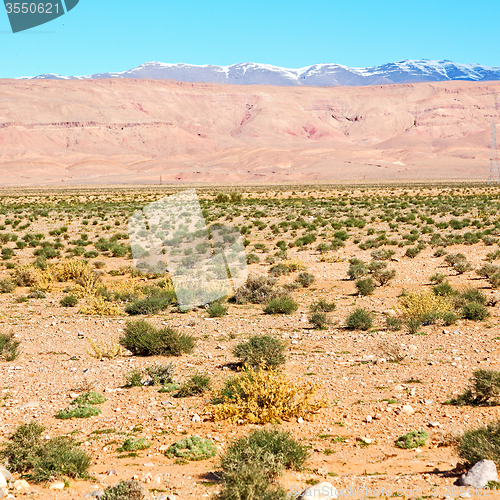 Image of  in todra gorge morocco africa and  village