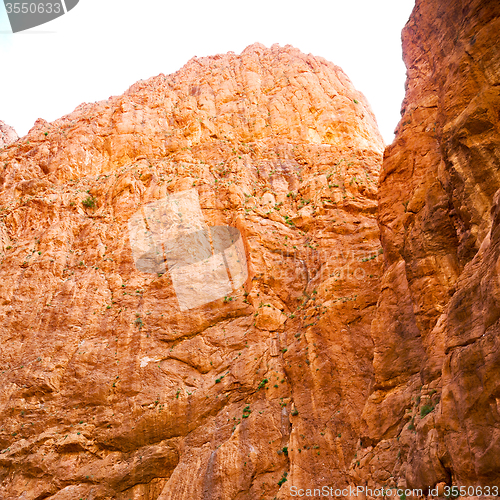 Image of  in todra gorge morocco africa and river