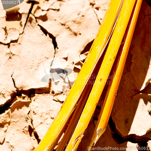 Image of cracked sand in morocco africa desert abstract macro bark