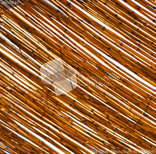 Image of morocco abstract bamboo roof in the  africa  sky