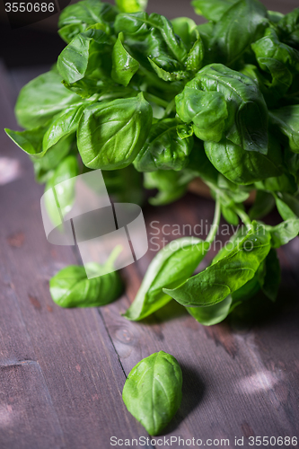 Image of Fresh organic basil