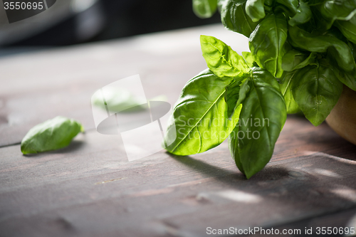 Image of Fresh organic basil