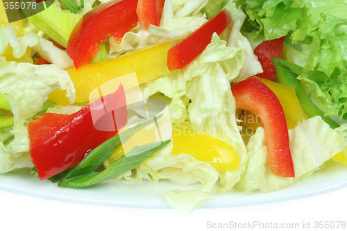 Image of Vegetarian salad