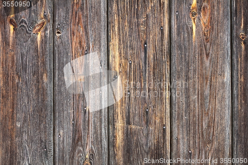 Image of grungy real spruce wood texture