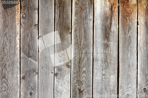 Image of old damaged spruce planks