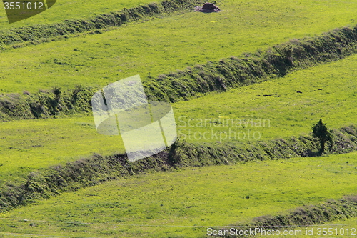 Image of textural green fields