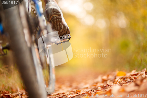 Image of foot on pedal of bicycle