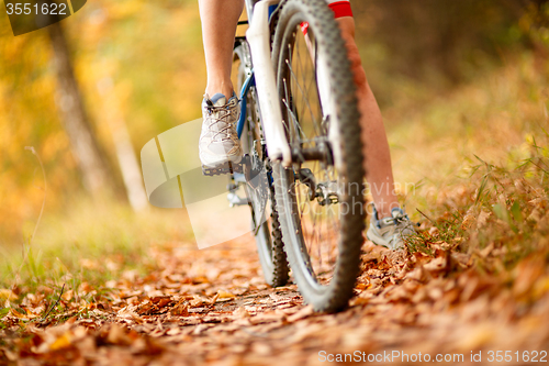 Image of close-up bike