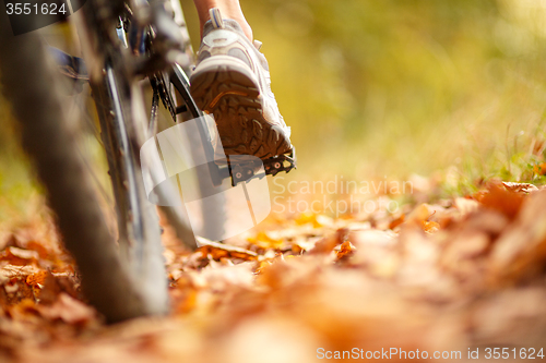 Image of foot on pedal of bicycle