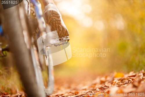 Image of foot on pedal of bicycle