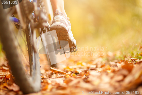 Image of close-up bike