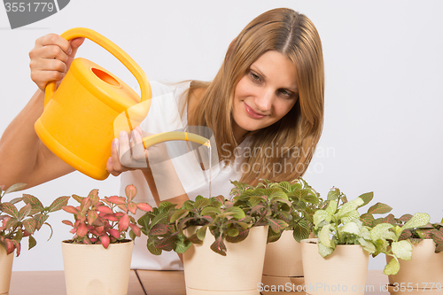 Image of The girl waters flowers from a watering home
