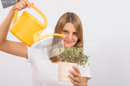 Image of She pours a decorative flower in pot