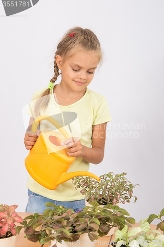 Image of Girl caring for household flowers Fitton