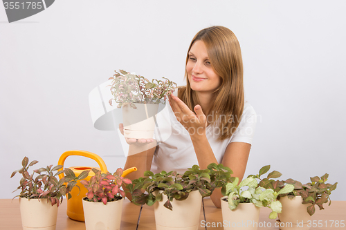 Image of Happy girl considers his collection of indoor plants