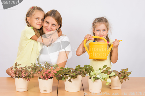 Image of The family loves to grow houseplants