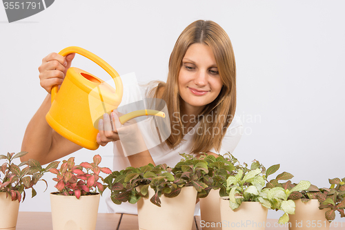 Image of Happy girl watering potted plants from a watering can