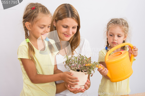 Image of Mother and daughter watering houseplants