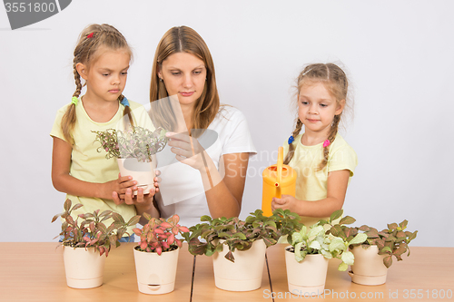 Image of Mother and daughter consider and watering houseplants