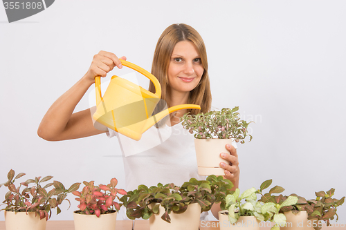 Image of Girl watering flowers decorative home