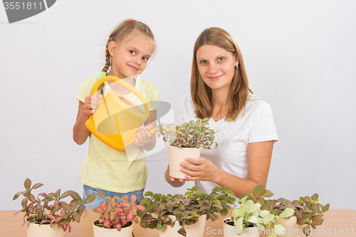 Image of Mom and daughter watering houseplants