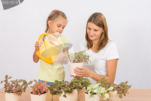 Image of Mom and daughter watering potted plants