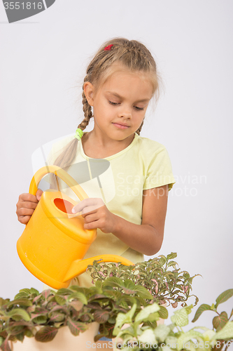 Image of Six-year girl watering flowers watering