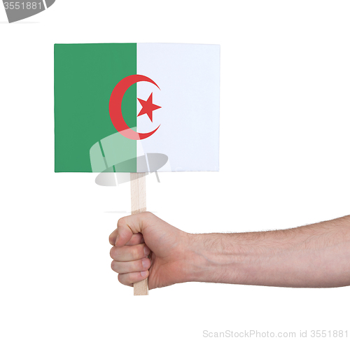 Image of Hand holding small card - Flag of Algeria