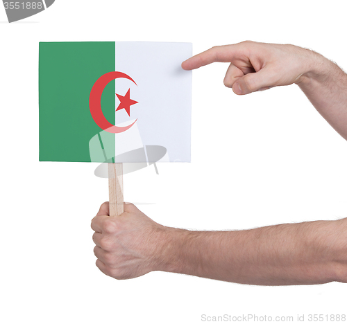 Image of Hand holding small card - Flag of Algeria