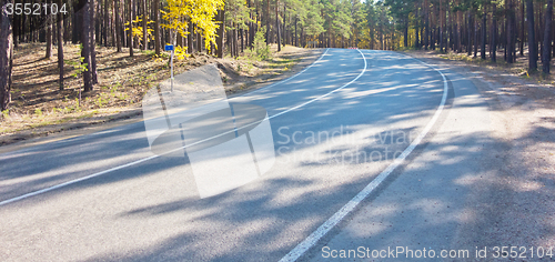 Image of road in forest