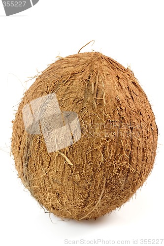 Image of Coconut