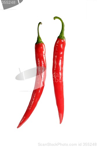 Image of Pair of chilies