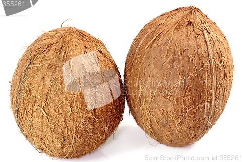 Image of Two Coconuts