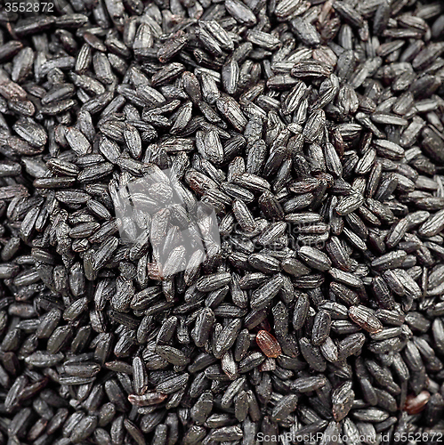 Image of black rice