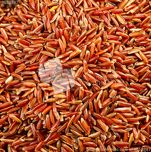 Image of bowl of red wild rice