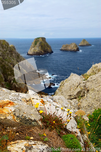 Image of Atlantic coast in Brittany