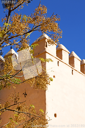 Image of brown  old ruin in     flower   morocco and sky  near the tower