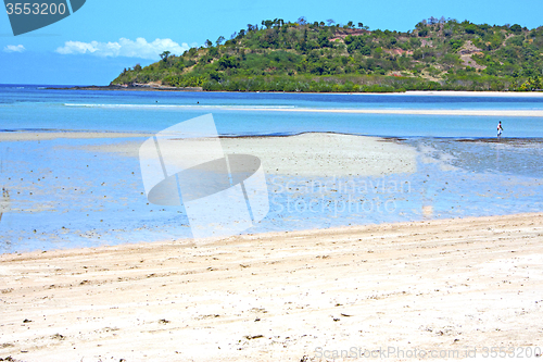 Image of beautiful andilana beach seaweed  indian ocean  