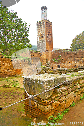 Image of chellah  in         africa the old roman deteriorated monument  