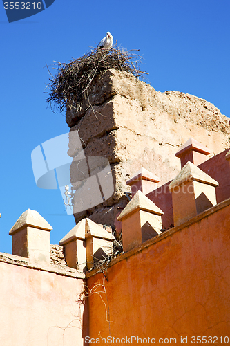 Image of dome    old ruin in     construction  stork