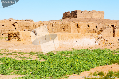 Image of sahara africa in morocco the old flower