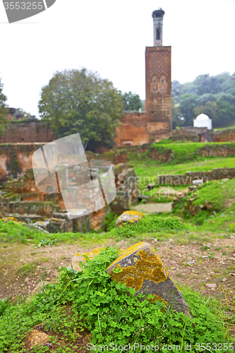 Image of chellah  in morocco africa the old roman blur