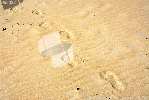 Image of Sand footprints