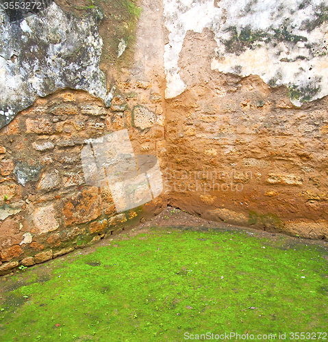 Image of chellah  in morocco africa the old roman deteriorated monument a