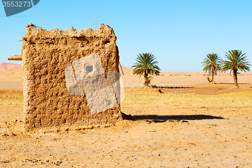 Image of sahara      africa in morocco  palm 