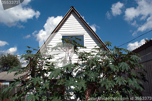 Image of roof of the house